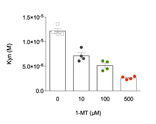 IDO - TDO inhibition cell-based assay screening