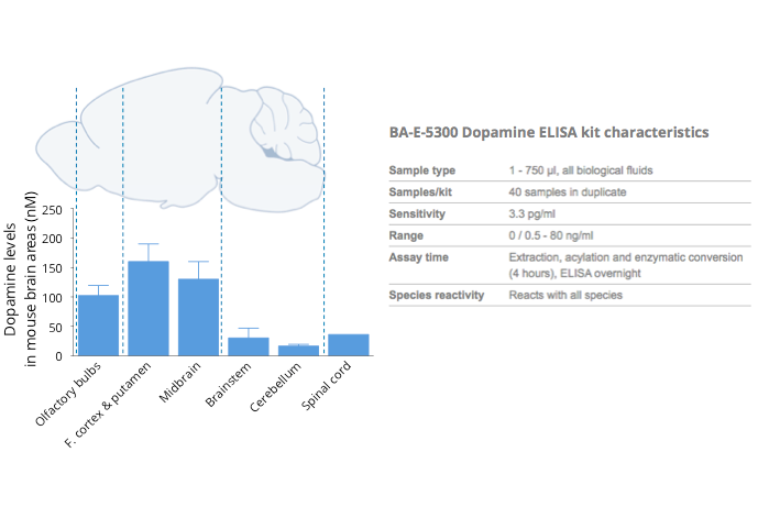 Reveal Dopamine in your samples using our dedicated tools Levels of dopamine highlighted by ELISA in the afferent and efferent dopaminergic systems