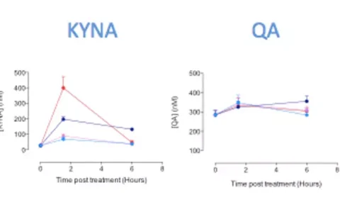 Newly-released ELISA pack for Kynurenic / Quinolinic Acids
