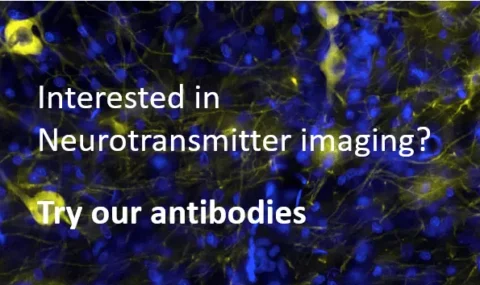 Validated antibodies cited in many recent publications