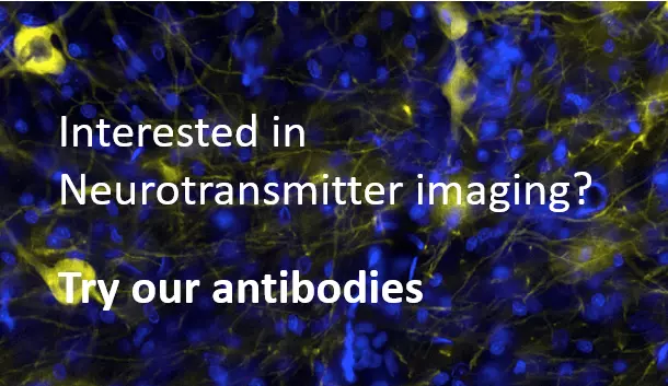 Validated antibodies cited in many recent publications