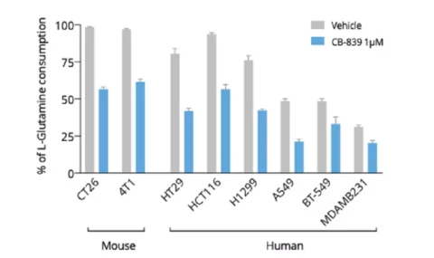 New L-Glutamine ELISA as tool to address metabolic features in cell culture supernatants