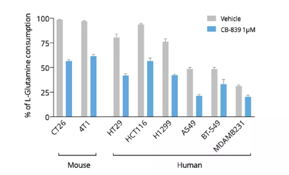New L-Glutamine ELISA as tool to address metabolic features in cell culture supernatants