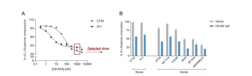 L-Glutamine ELISA kit