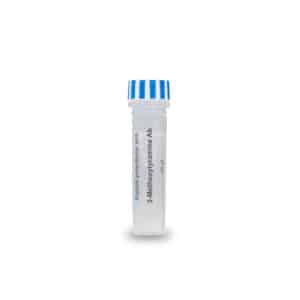 3-MethoxyTyramine antibody – rabbit pAb