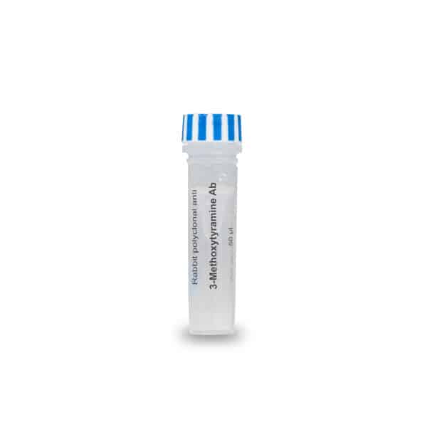 3-MethoxyTyramine antibody – rabbit pAb