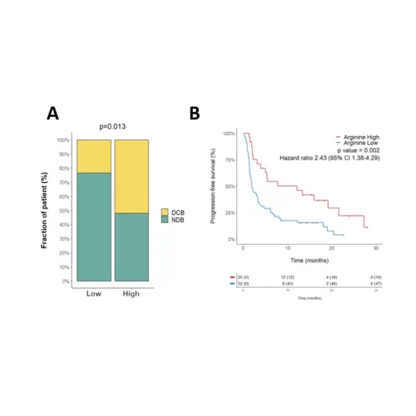 Arg metabolism is predictive of anti-PD(L)1 immunotherapy-treated patient outcome