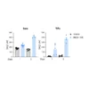 Arginase inhibitor INCB-1158 restores Arg level in sera and TIFs in syngeneic MC38 mouse colorectal cancer model.