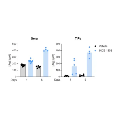 Arginase inhibitor INCB-1158 restores Arg level in sera and TIFs in syngeneic MC38 mouse colorectal cancer model.