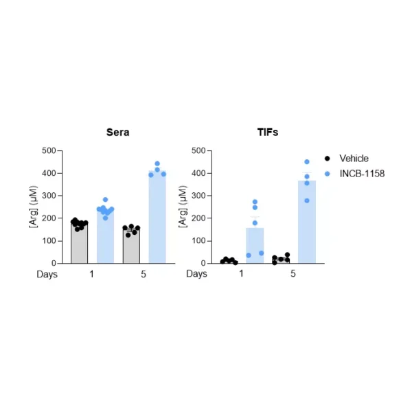 Arginase inhibitor INCB-1158 restores Arg level in sera and TIFs in syngeneic MC38 mouse colorectal cancer model.
