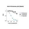 Affinity & specificity of anti-D-Glutamate antibody