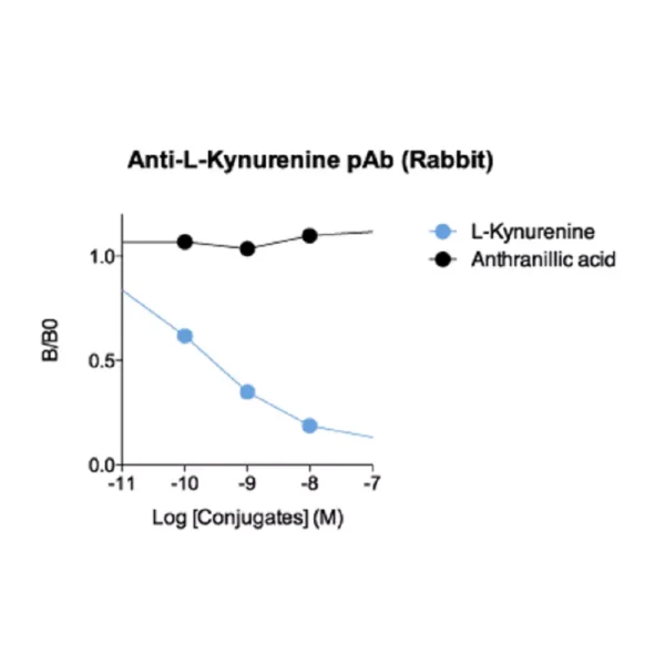 Affinity & specificity of L-Kynurenine polyclonal antibody