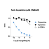 Affinity & specificity of anti- Dopamine antibody