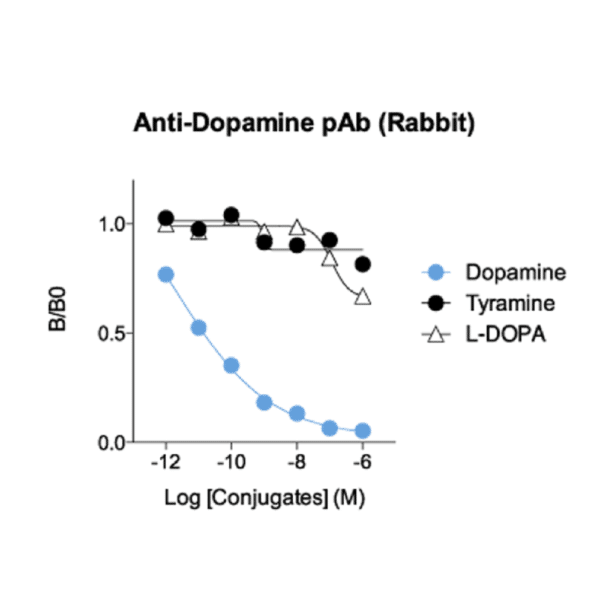 Affinity & specificity of anti- Dopamine antibody