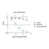 Affinity & specificity of anti- L-DOPA antibody