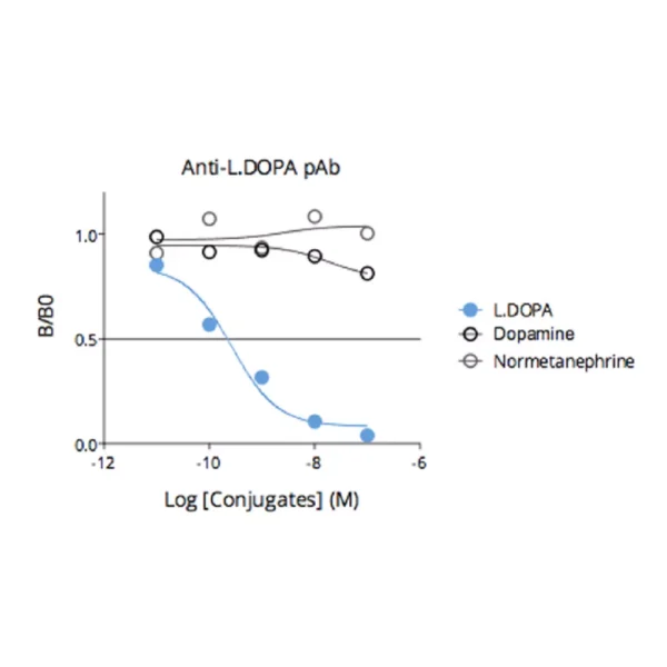 Affinity & specificity of anti- L-DOPA antibody