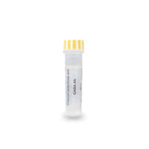 GABA antibody – chicken pAb