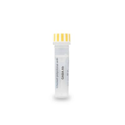 GABA antibody – chicken pAb