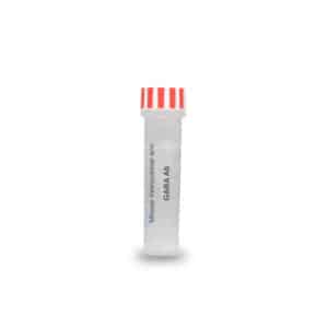 GABA antibody - mouse mAb