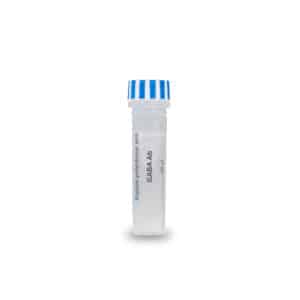 GABA antibody rabbit pAb IS1006