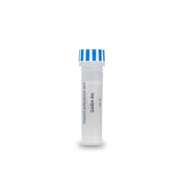 GABA antibody rabbit pAb IS1006