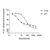 Murine tumor cell lines degrade Glutamine to support their high proliferating rate in a Gls1 dependent manner.