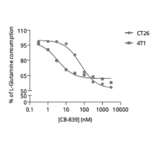 Murine tumor cell lines degrade Glutamine to support their high proliferating rate in a Gls1 dependent manner.
