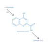 Kynurenic acid