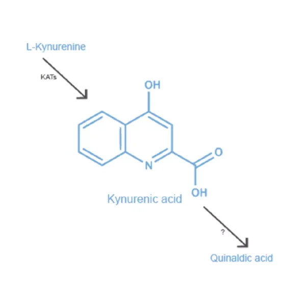 Kynurenic acid