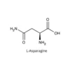 L-Asparagine antibody