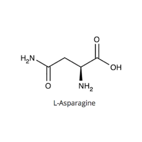 L-Asparagine antibody
