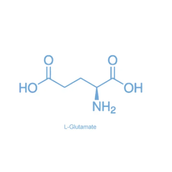L-Glutamic acid (L-Glutamate)