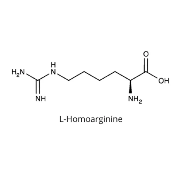 L-Homoarginine