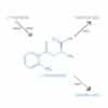 L-Kynurenine