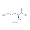 L-Ornithine antibody