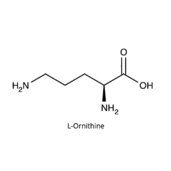 L-Ornithine antibody