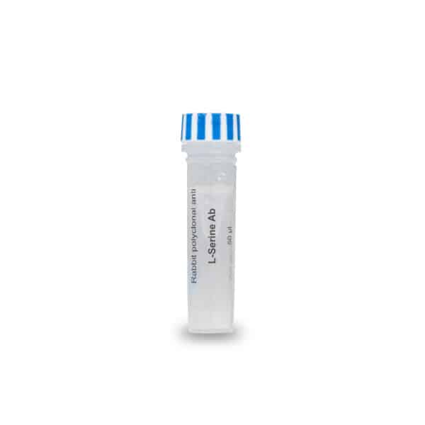 L-Serine antibody rabbit pAb IS1003