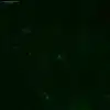 L-Tyrosine antibody imaging in mouse embryonic midbrain neurons