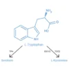 Amino acid L-Tryptophan