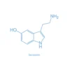 Serotonin - 5-hydroxytryptamine (5-HT)