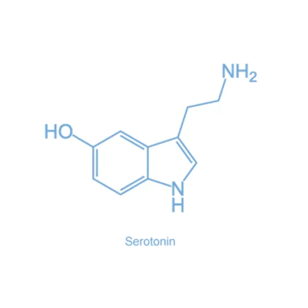Serotonin - 5-hydroxytryptamine (5-HT)