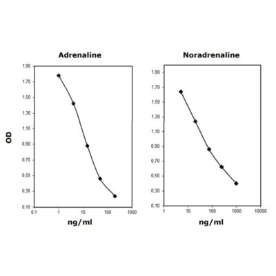 Adrenaline-Noradrenaline ELISA kit - plasma & urine samples - BA-E-6500