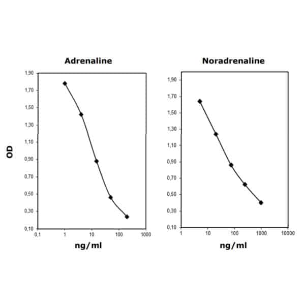 Adrenaline-Noradrenaline ELISA kit - plasma & urine samples - BA-E-6500