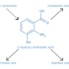 3-Hydroxy-Anthranilic acid