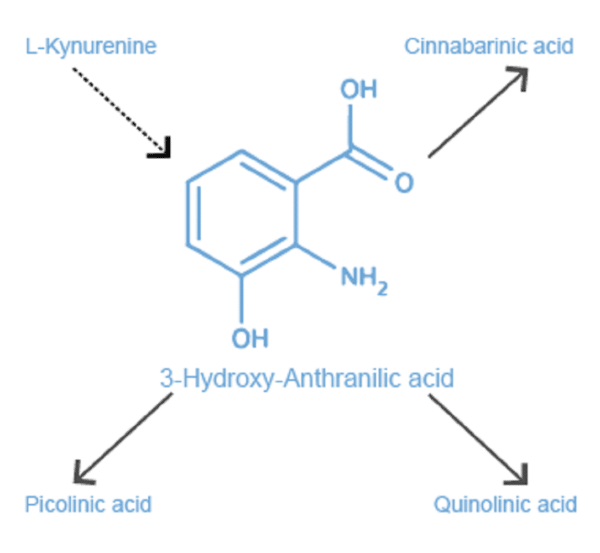 3-Hydroxy-Anthranilic acid