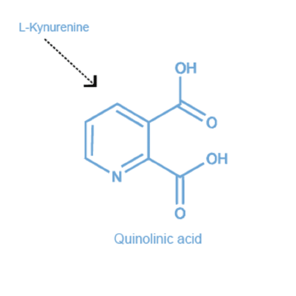 Quinolinic acid antibody