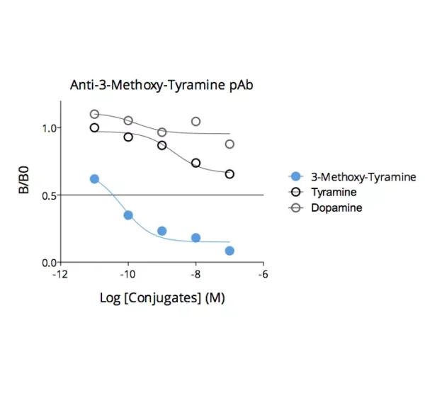 Affinity & specificity of anti-3-Methoxy-Tyramine antibody