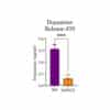 Quantification of dopamine release in cell supernatant