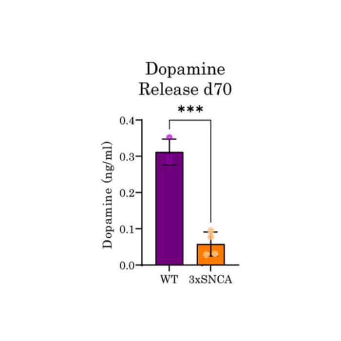 Quantification of dopamine release in cell supernatant