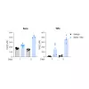 Arginase inhibitor INCB-1158 restores Arg level in sera and TIFs in syngeneic MC38 mouse colorectal cancer model.